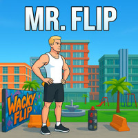Mr Flip img